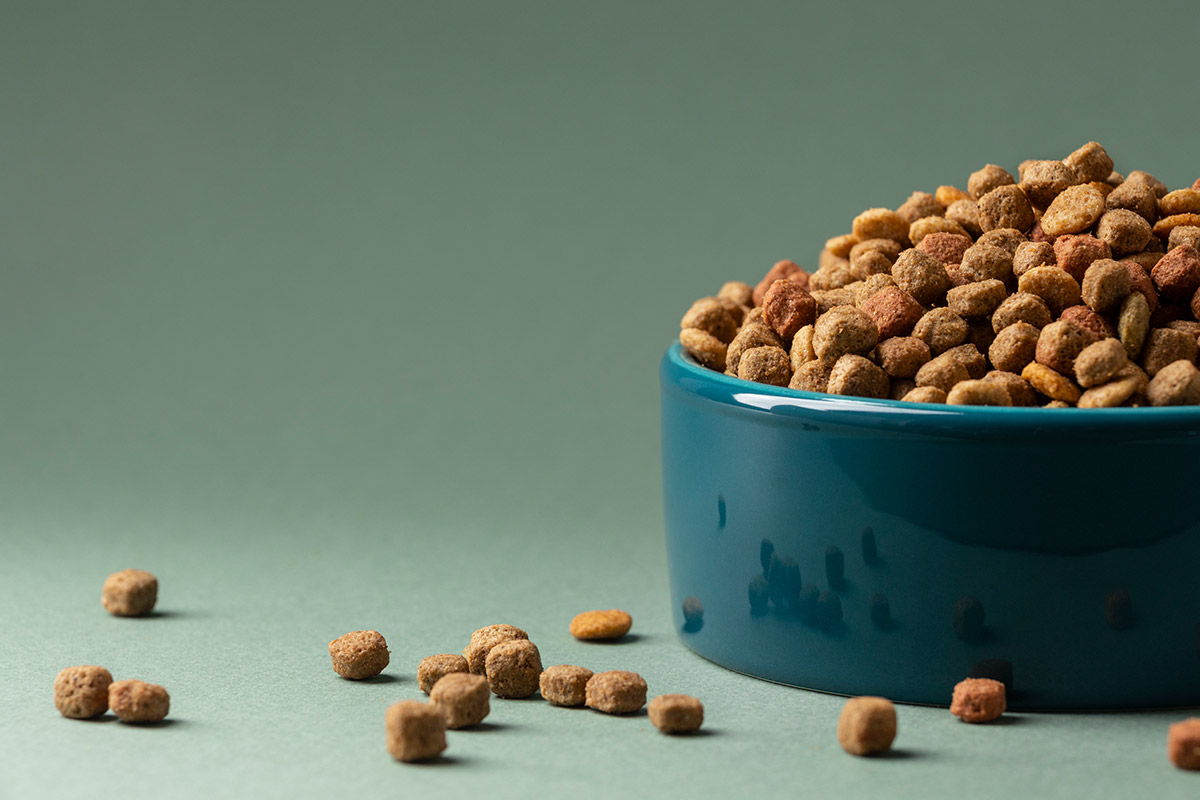 Read more about the article How to Choose Healthy Food for Your Pets