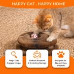 2 Pack Foldable Accordion Cat Scratcher Toy, Magic Organ Cat Tunnel with Rolling Ball