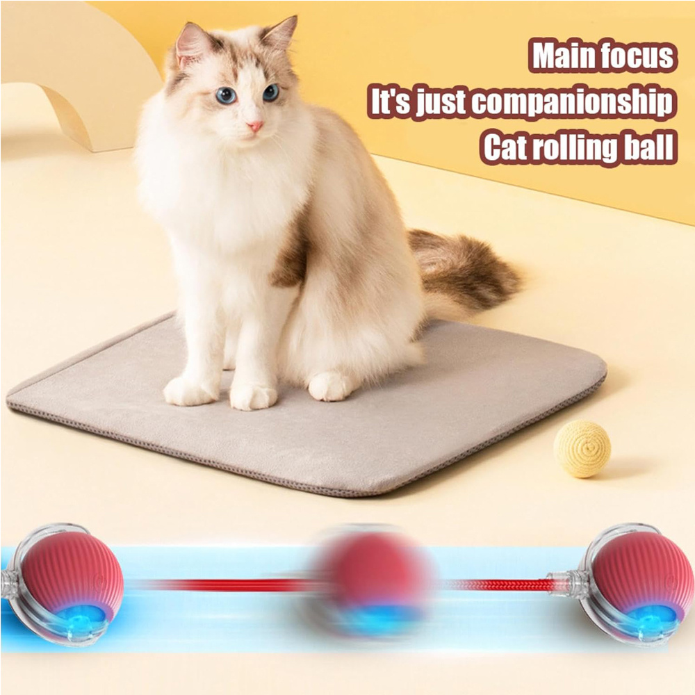Smart Interactive Rolling Pet Ball for Dogs & Cats - Image 9