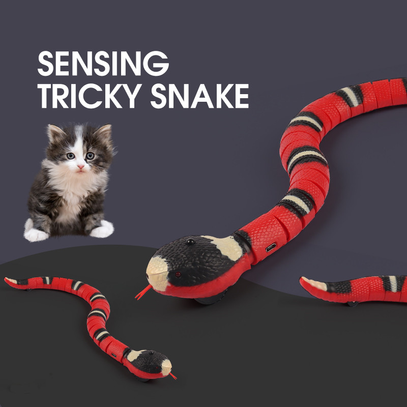 Fun & Durable Toys for Dogs & Cats