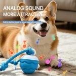 Smart Interactive Rolling Pet Ball for Dogs & Cats