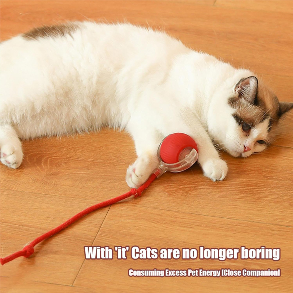 Smart Interactive Rolling Pet Ball Toy for Cats & Dogs, Automatic Moving Electric Cat Ball - Image 6