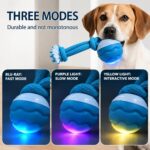 Smart Interactive Rolling Pet Ball for Dogs & Cats